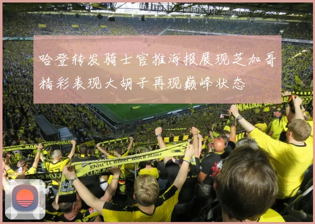 哈登转发骑士官推海报展现芝加哥精彩表现大胡子再现巅峰状态