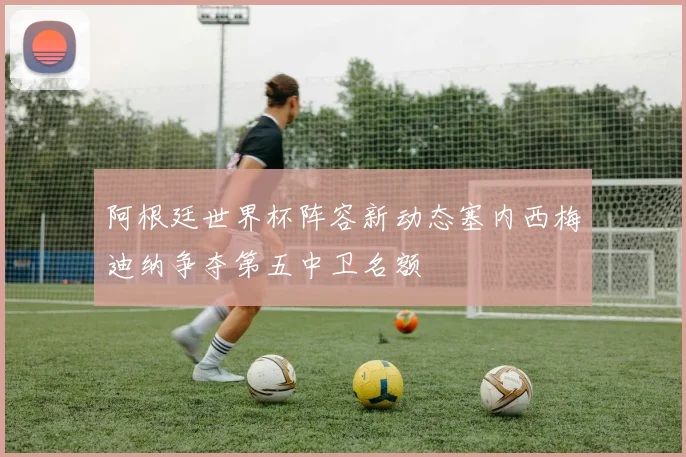 阿根廷世界杯阵容新动态塞内西梅迪纳争夺第五中卫名额