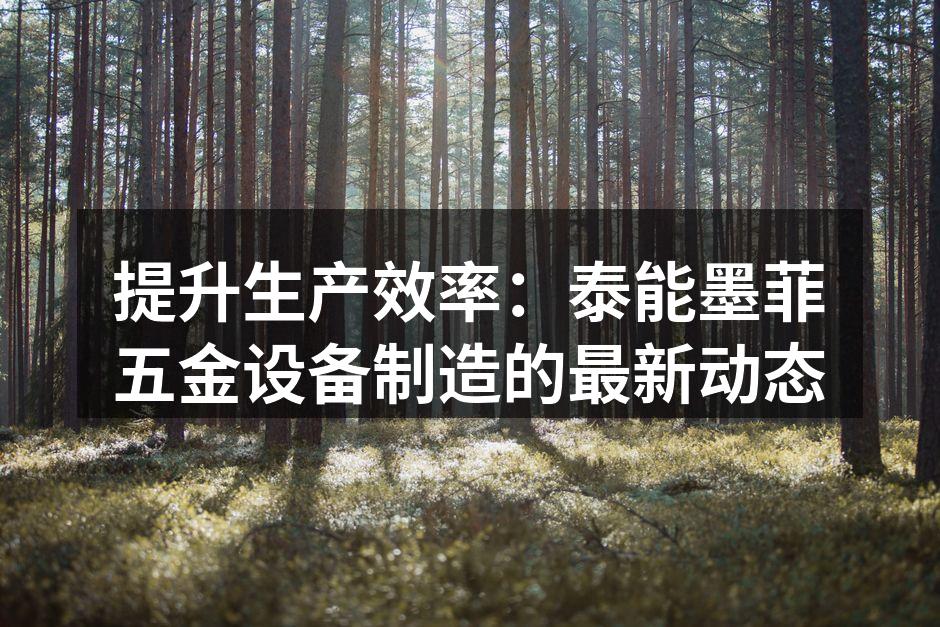 提升生产效率：泰能墨菲五金设备制造的最新动态